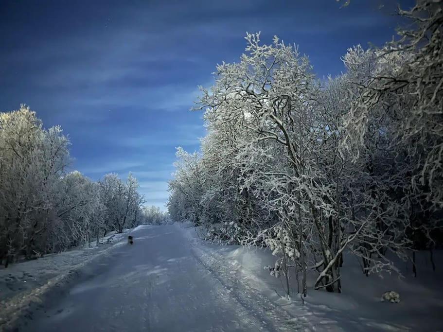 Leilighet I Rolig Gate Med Utsikt Og Gratis Parkering Tromso Bagian luar foto