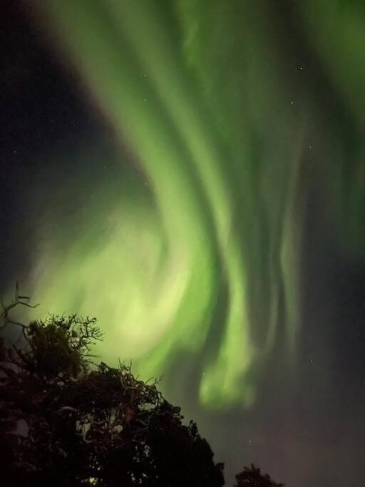 Leilighet I Rolig Gate Med Utsikt Og Gratis Parkering Tromso Bagian luar foto
